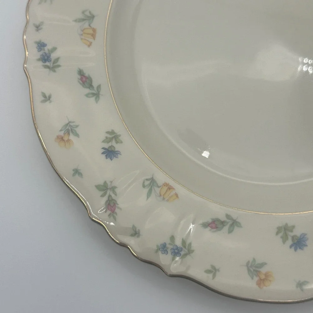 4 set Vintage Syracuse China Suzanne Federal Shape Dinner Plates 10in